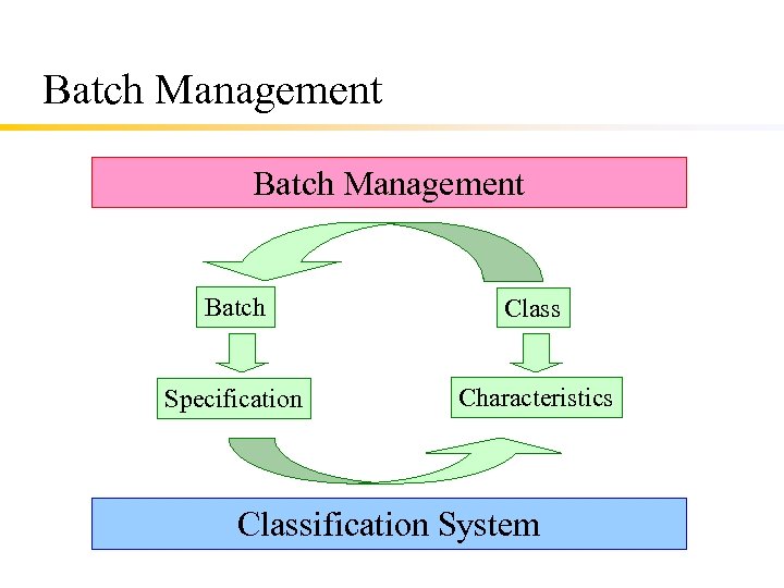 Batch Management Batch Class Specification Characteristics Classification System 