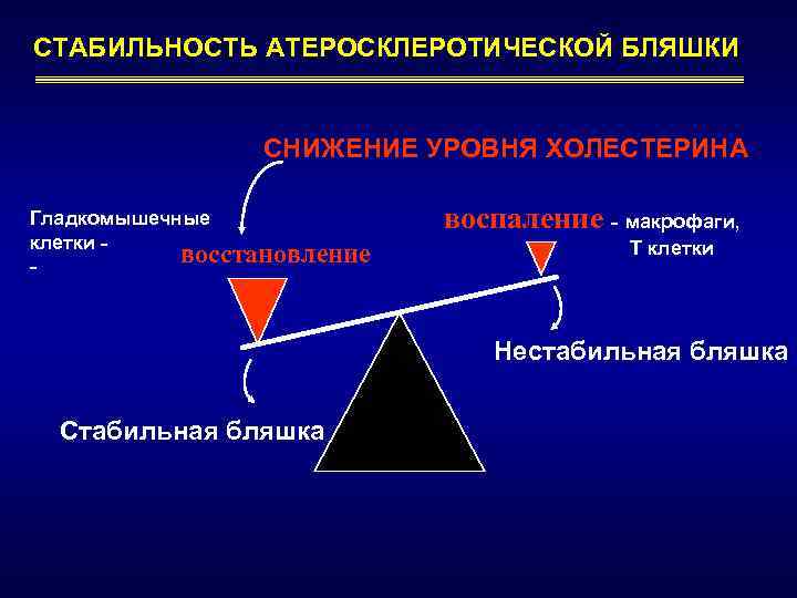 СТАБИЛЬНОСТЬ АТЕРОСКЛЕРОТИЧЕСКОЙ БЛЯШКИ СНИЖЕНИЕ УРОВНЯ ХОЛЕСТЕРИНА Гладкомышечные клетки восстановление - воспаление - макрофаги, Т