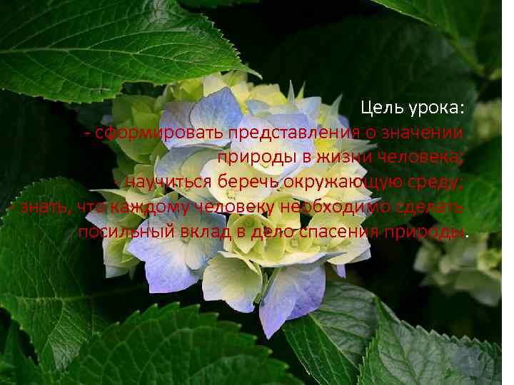 Цель урока: - сформировать представления о значении природы в жизни человека; - научиться беречь