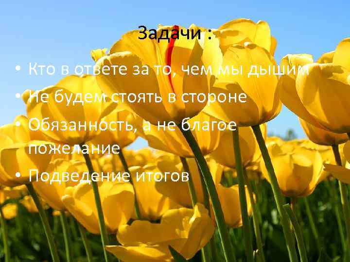 Задачи : • Кто в ответе за то, чем мы дышим • Не будем