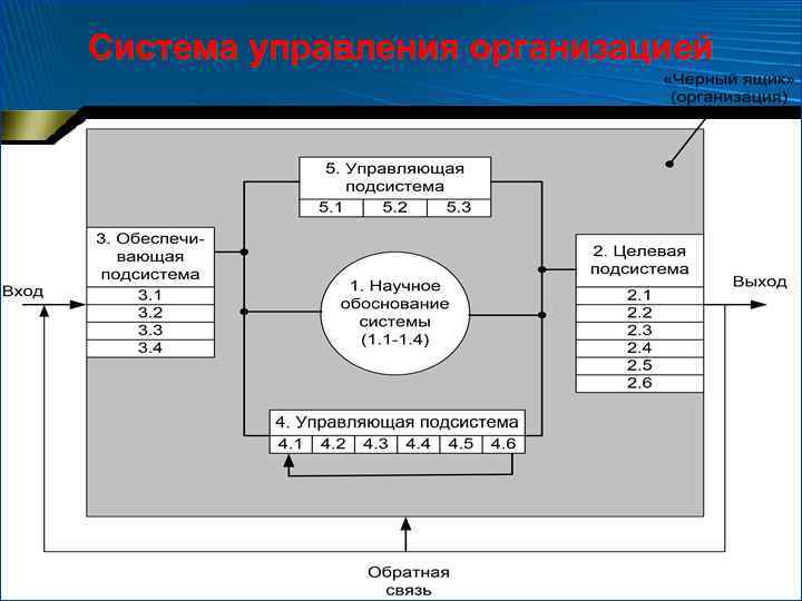 Система управления организацией 