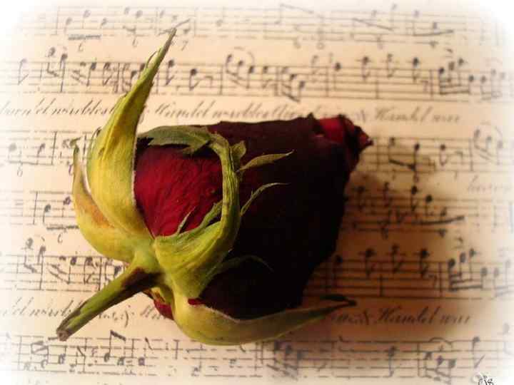 Збірка «Сатурнічні поезії» В одному із сонетів цієї збірки Поль Верлен писав: «Моя душа