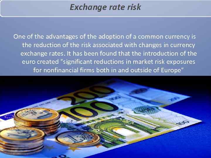 Exchange rate risk One of the advantages of the adoption of a common currency