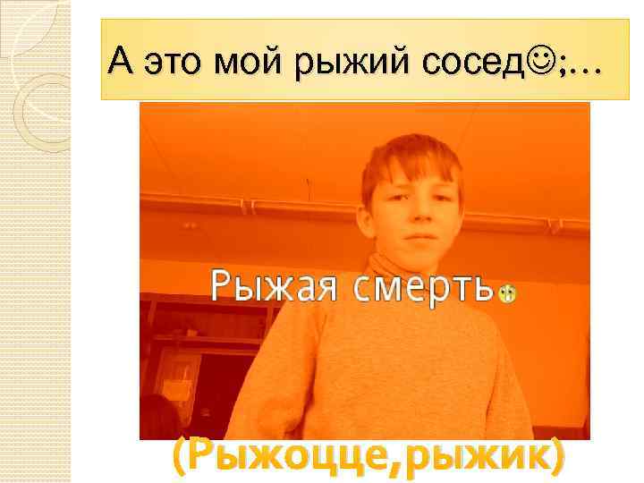 А это мой рыжий сосед ; … (Рыжоцце, рыжик) 