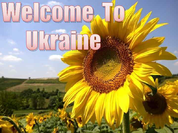 Welcome To Ukraine 