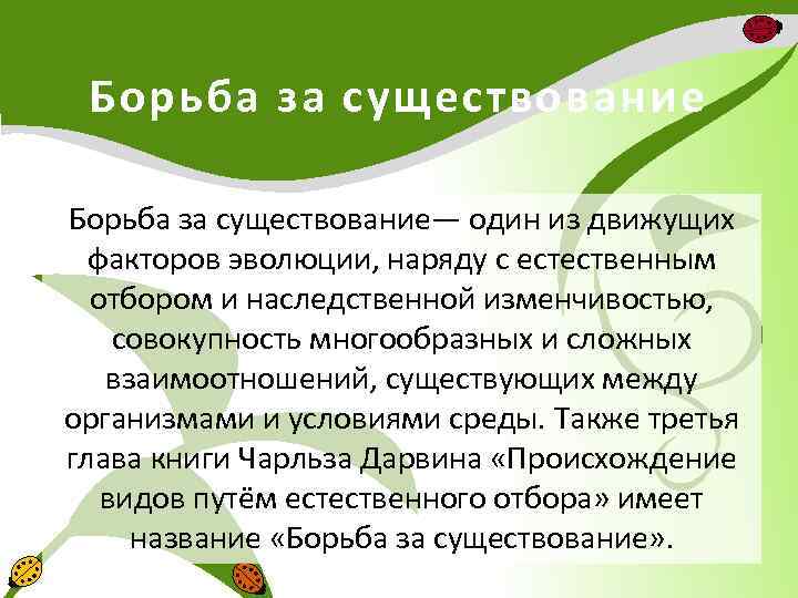 Презентация по биологии 9 класс борьба за существование