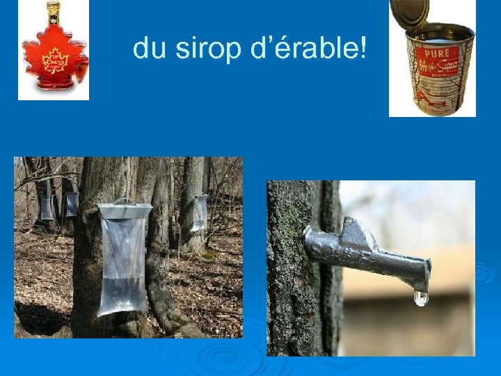 du sirop d’érable! 