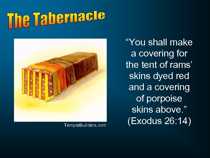 Temple. Builders. com “You shall make a covering for the tent of rams’ skins