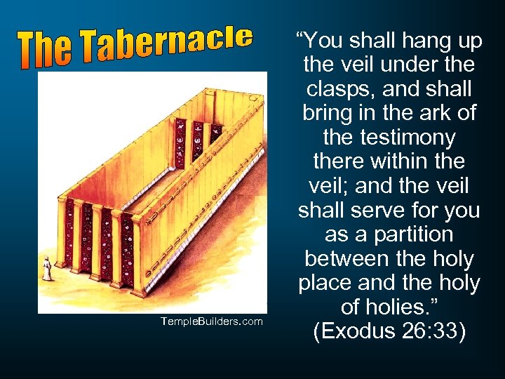 Temple. Builders. com “You shall hang up the veil under the clasps, and shall