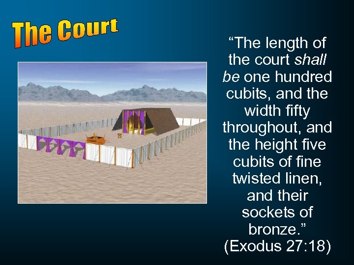 “The length of the court shall be one hundred cubits, and the width fifty