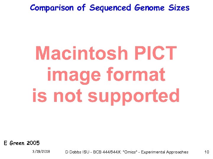 Comparison of Sequenced Genome Sizes E Green 2005 3/19/2018 D Dobbs ISU - BCB