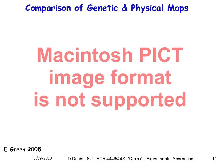 Comparison of Genetic & Physical Maps E Green 2005 3/19/2018 D Dobbs ISU -