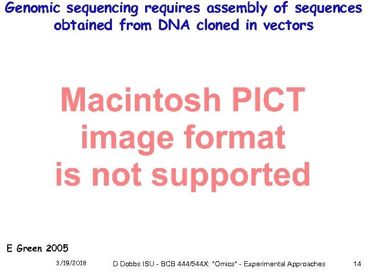 Genomic sequencing requires assembly of sequences obtained from DNA cloned in vectors E Green