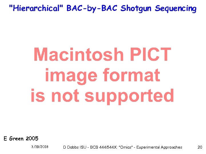 "Hierarchical" BAC-by-BAC Shotgun Sequencing E Green 2005 3/19/2018 D Dobbs ISU - BCB 444/544