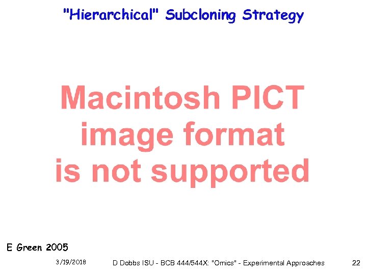 "Hierarchical" Subcloning Strategy E Green 2005 3/19/2018 D Dobbs ISU - BCB 444/544 X: