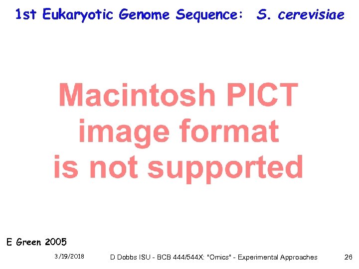 1 st Eukaryotic Genome Sequence: S. cerevisiae E Green 2005 3/19/2018 D Dobbs ISU