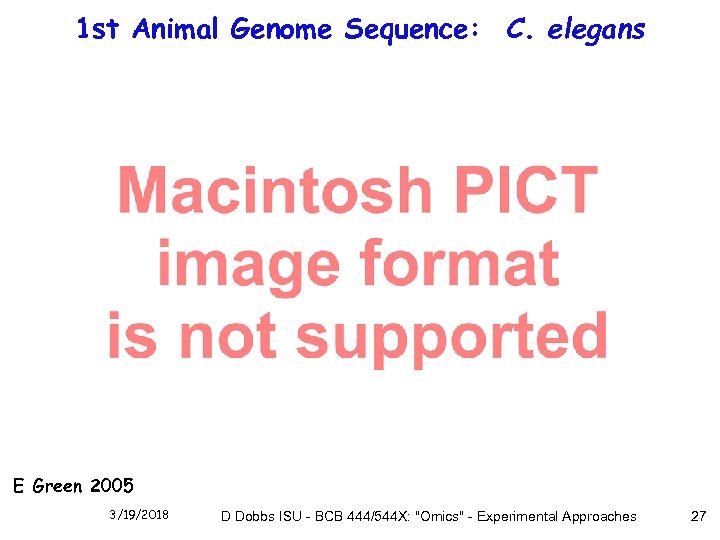 1 st Animal Genome Sequence: C. elegans E Green 2005 3/19/2018 D Dobbs ISU