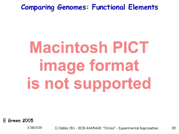 Comparing Genomes: Functional Elements E Green 2005 3/19/2018 D Dobbs ISU - BCB 444/544