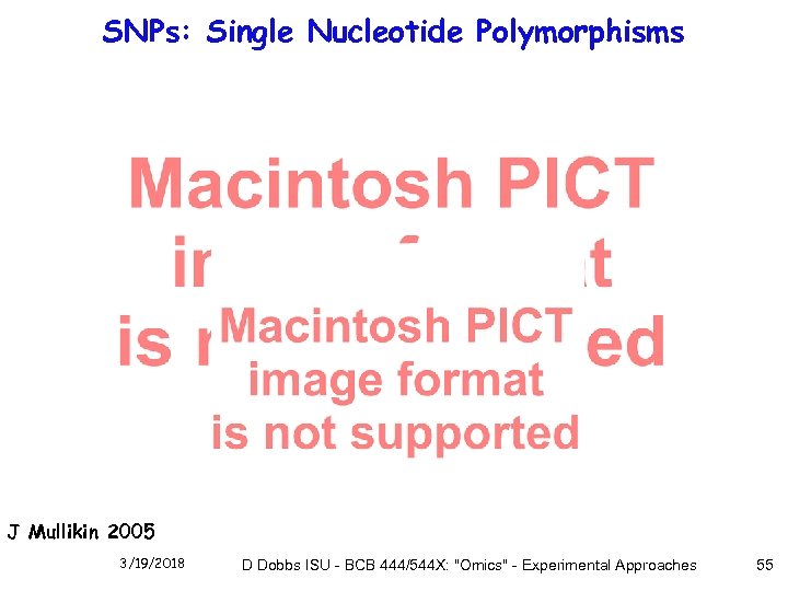 SNPs: Single Nucleotide Polymorphisms J Mullikin 2005 3/19/2018 D Dobbs ISU - BCB 444/544