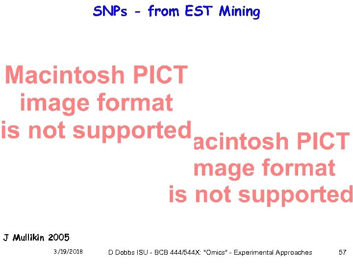 SNPs - from EST Mining J Mullikin 2005 3/19/2018 D Dobbs ISU - BCB