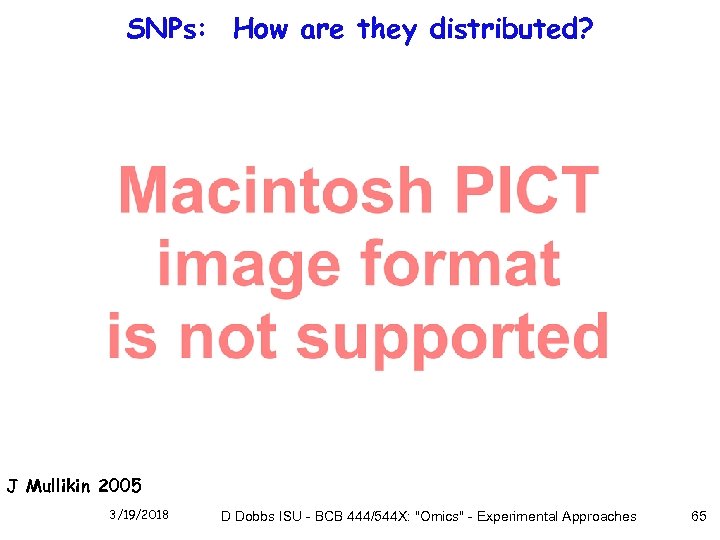 SNPs: How are they distributed? J Mullikin 2005 3/19/2018 D Dobbs ISU - BCB