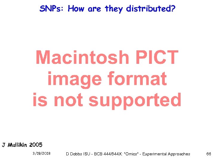 SNPs: How are they distributed? J Mullikin 2005 3/19/2018 D Dobbs ISU - BCB