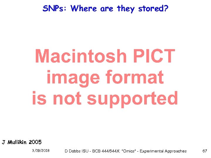 SNPs: Where are they stored? J Mullikin 2005 3/19/2018 D Dobbs ISU - BCB