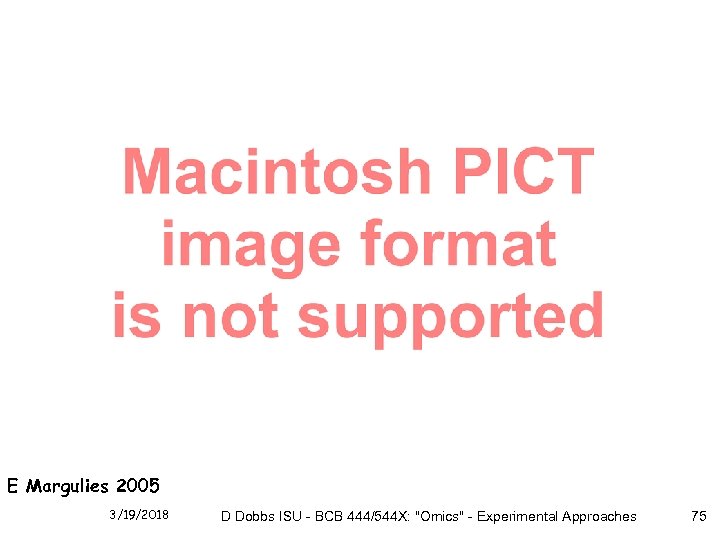 E Margulies 2005 3/19/2018 D Dobbs ISU - BCB 444/544 X: "Omics" - Experimental