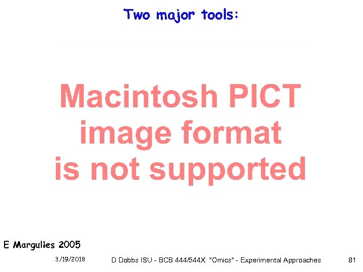 Two major tools: E Margulies 2005 3/19/2018 D Dobbs ISU - BCB 444/544 X: