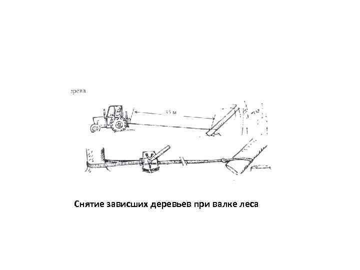 Снятие зависших деревьев при валке леса 
