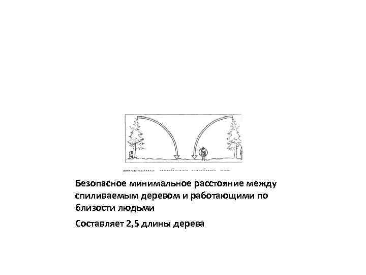 Безопасное минимальное расстояние между спиливаемым деревом и работающими по близости людьми Составляет 2, 5