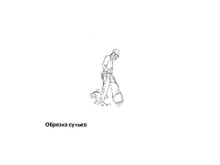 Обрезка сучьев 