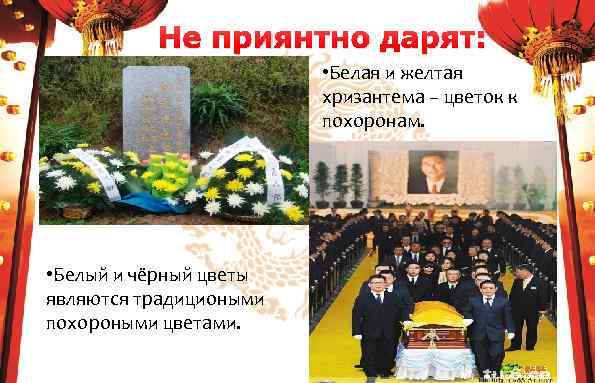 Не приянтно дарят: • Белая и желтая хризантема – цветок к похоронам. • Белый
