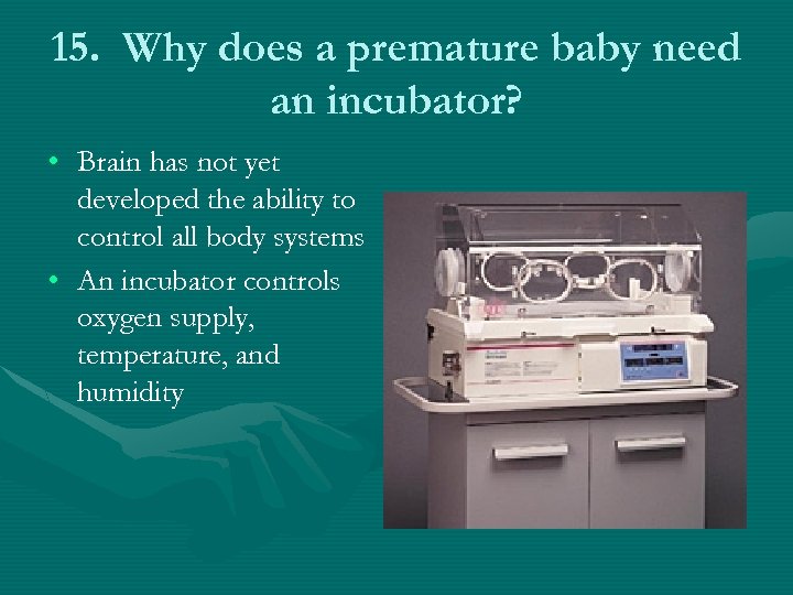 15. Why does a premature baby need an incubator? • Brain has not yet