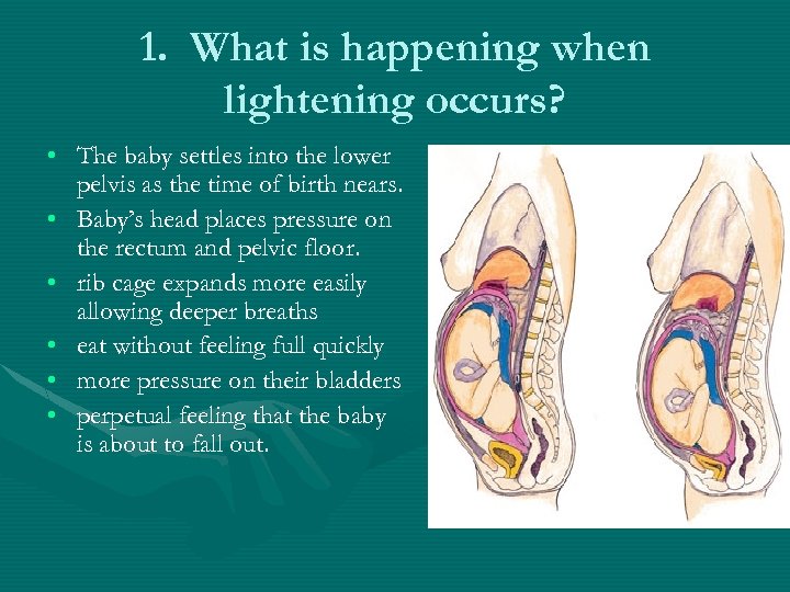 1. What is happening when lightening occurs? • The baby settles into the lower