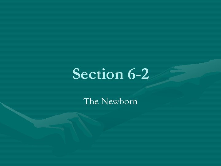 Section 6 -2 The Newborn 