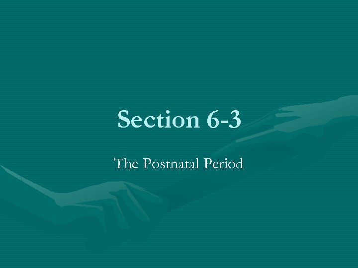 Section 6 -3 The Postnatal Period 