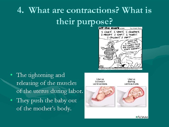 4. What are contractions? What is their purpose? • The tightening and releasing of