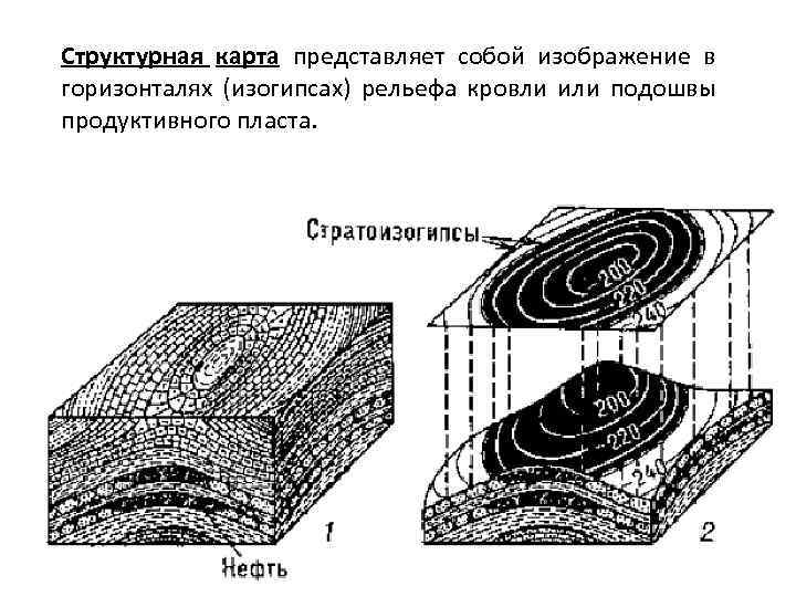 Структурная карта представляет собой изображение в горизонталях (изогипсах) рельефа кровли или подошвы продуктивного пласта.
