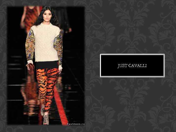 JUST CAVALLI 