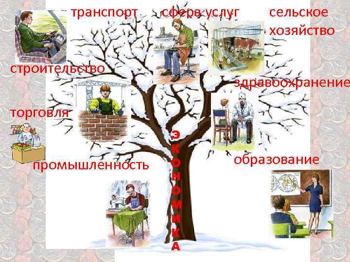транспорт сфера услуг строительство сельское хозяйство здравоохранение торговля промышленность Э К О Н О