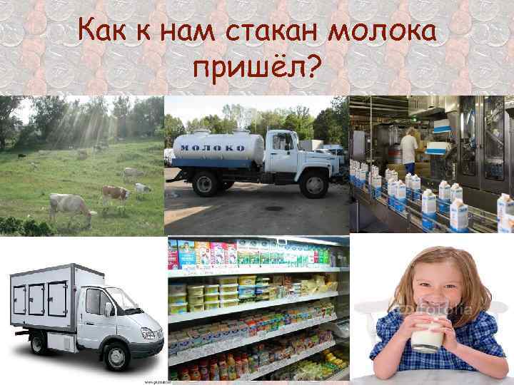 Как к нам стакан молока пришёл? 
