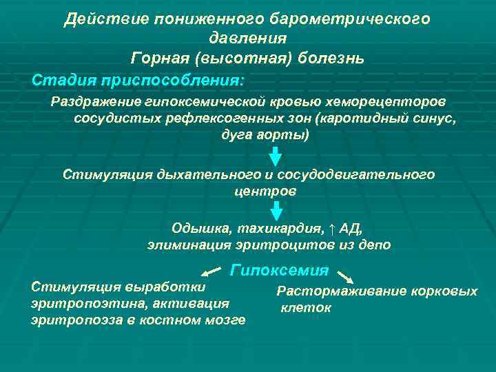 Действие пониженного барометрического давления Горная (высотная) болезнь Стадия приспособления: Раздражение гипоксемической кровью хеморецепторов сосудистых