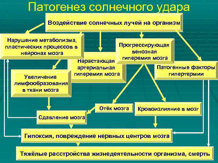 Патогенез солнечного удара Воздействие солнечных лучей на организм Нарушение метаболизма, Прогрессирующая пластических процессов в