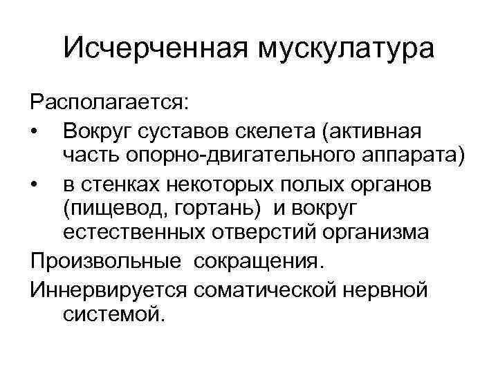 Исчерченная мускулатура Располагается: • Вокруг суставов скелета (активная часть опорно-двигательного аппарата) • в стенках
