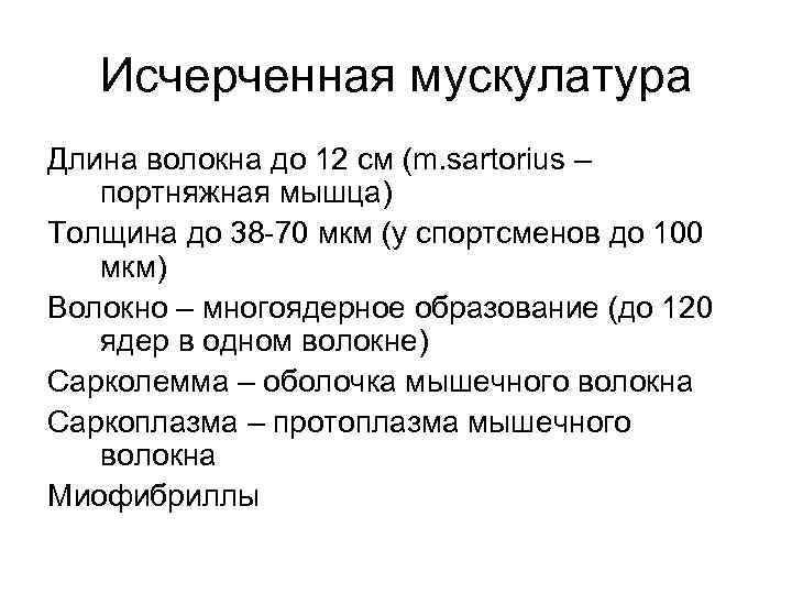 Исчерченная мускулатура Длина волокна до 12 см (m. sartorius – портняжная мышца) Толщина до