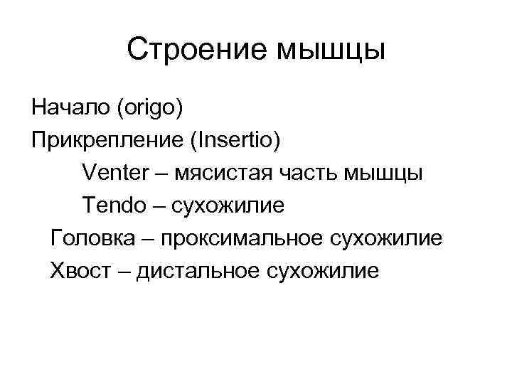 Строение мышцы Начало (origo) Прикрепление (Insertio) Venter – мясистая часть мышцы Tendo – сухожилие