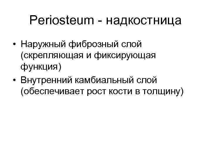 Periosteum - надкостница • Наружный фиброзный слой (скрепляющая и фиксирующая функция) • Внутренний камбиальный