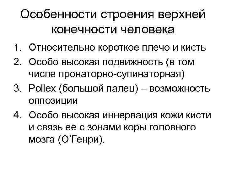 Особенности строения верхней конечности человека 1. Относительно короткое плечо и кисть 2. Особо высокая