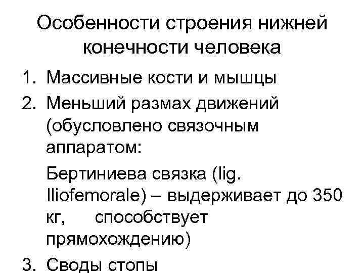 Особенности строения нижней конечности человека 1. Массивные кости и мышцы 2. Меньший размах движений